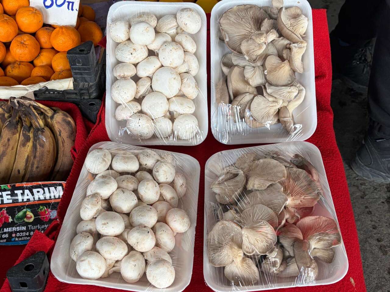 Kuzugöbeğinin Fiyatı Gram Altınla Yarışıyor 6